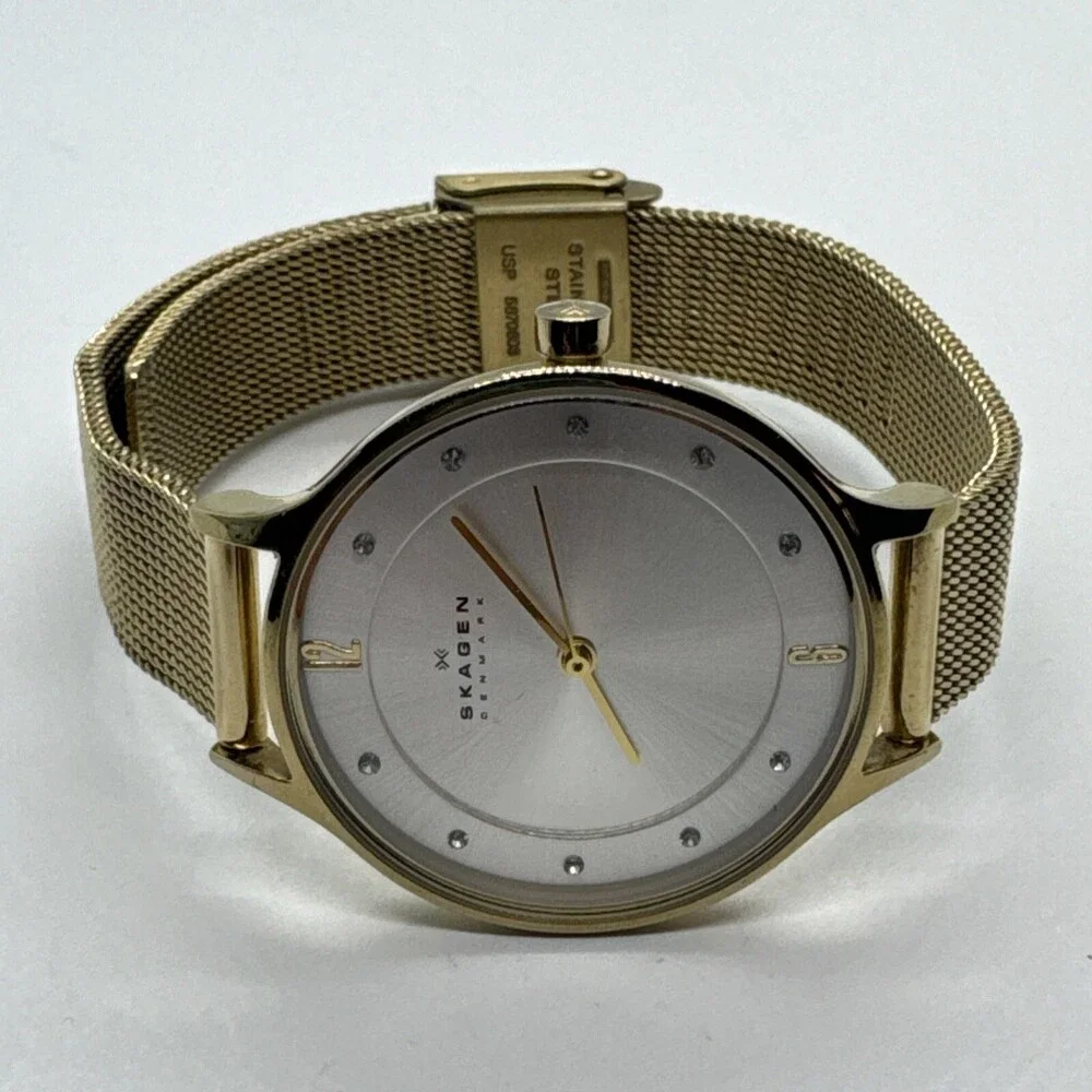 Skagen Anita Lille SKW2150 Women's Gold Stainless Steel Mesh Analog Watch AEA309